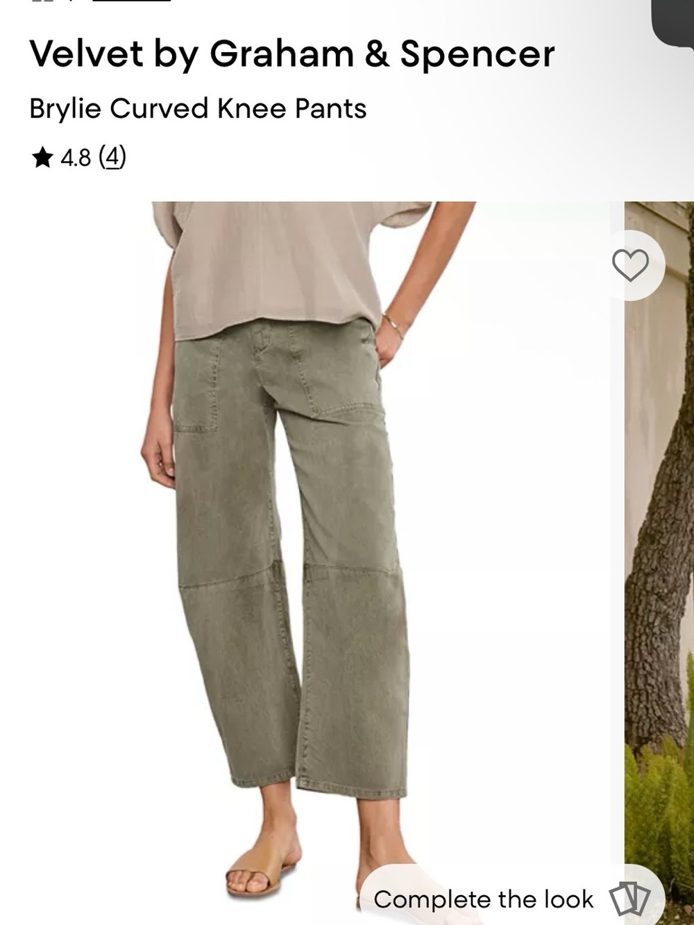 Velvet by Graham & Spencer Pants